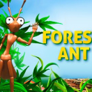 Forest Ant