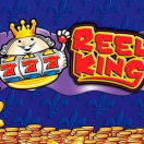 Reel King